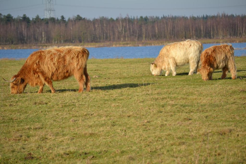 De Moerse Hoeve De Moer