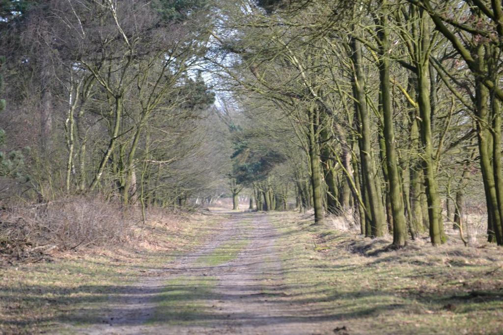 De Moerse Hoeve De Moer