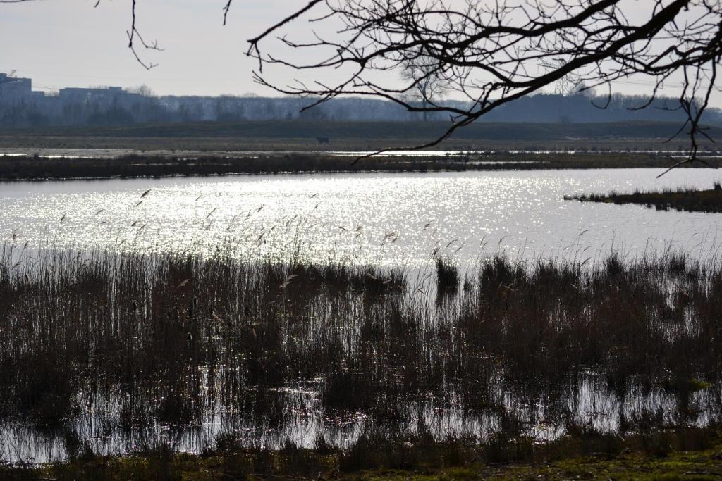 De Moerse Hoeve 3* De Moer
