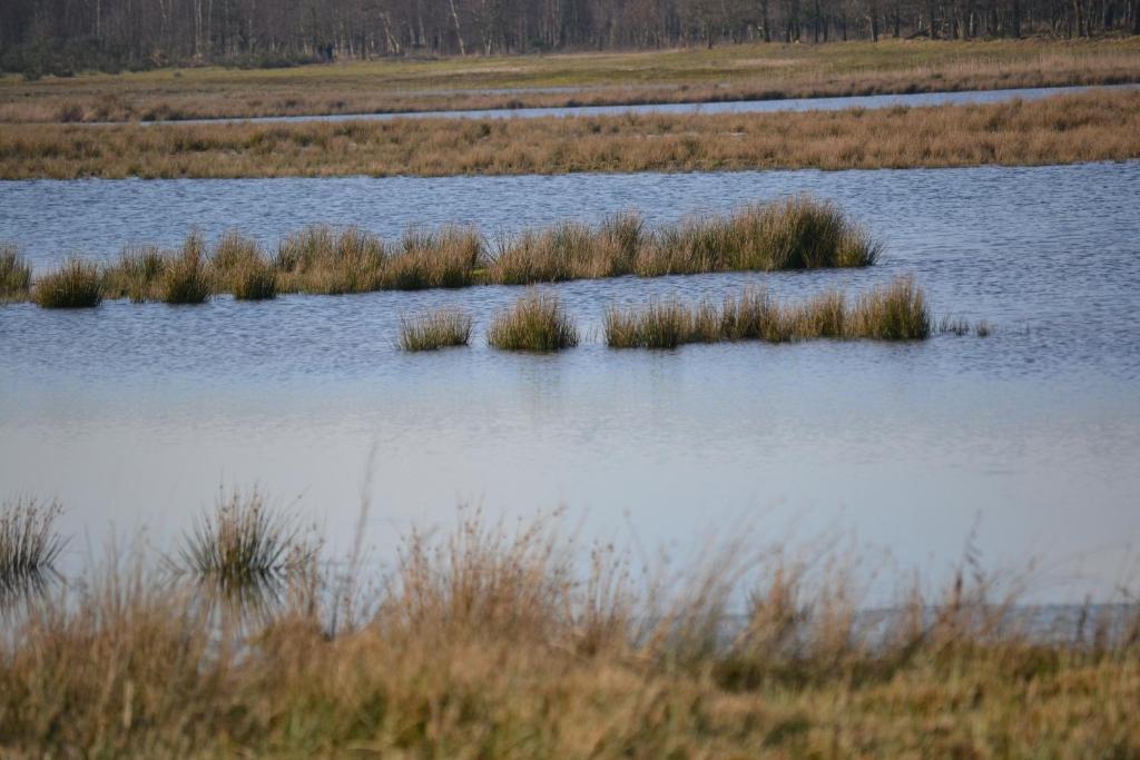 Hotel De Moerse Hoeve